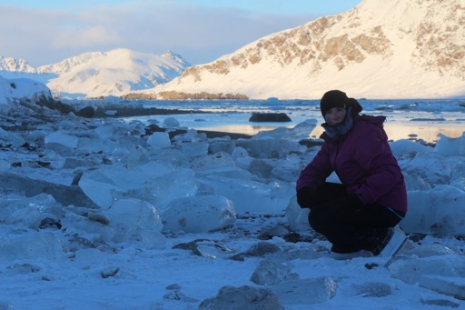 Making arctic ice recordings