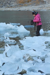 Recording under the ice
